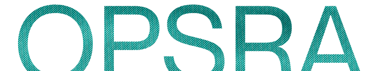 banzora footer logo